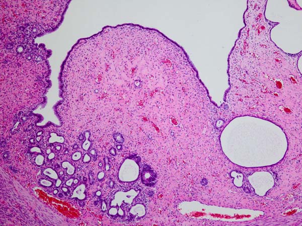 見通しはどうですか?